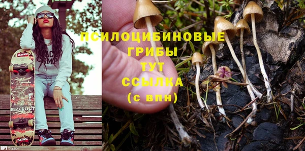 МДПВ Абаза