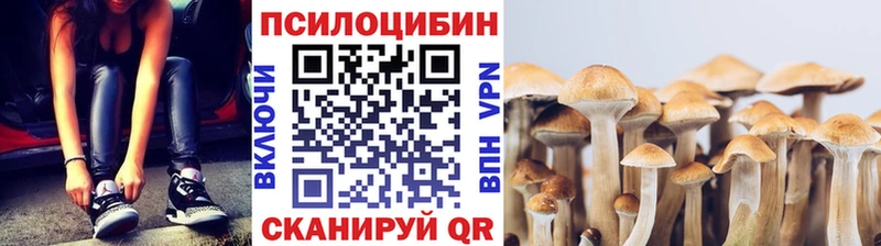 Псилоцибиновые грибы прущие грибы  Богданович 
