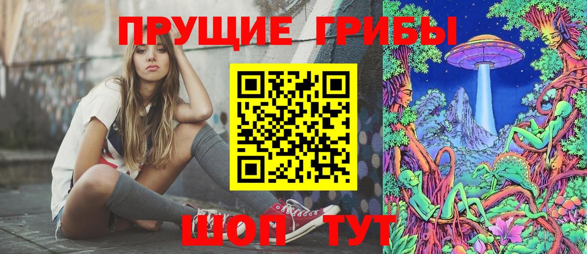 Галлюциногенные грибы GOLDEN TEACHER  Псилоцибиновые грибы Psilocybine cubensis  Богданович  Вход с VPN 